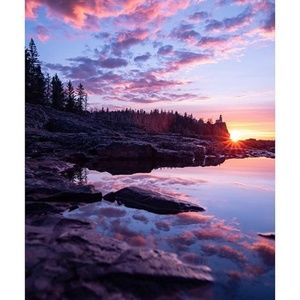 Meet your Posher, Joanne